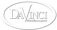 DaVinci-BW-logo_vector